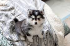 Alicia ROSE - ALICIA ROSE PHOTO