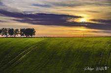 Philippe MURTAS - PHILIPPE MURTAS PHOTOGRAPHE