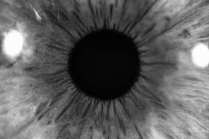 Martin VIZIBLE - Martin Vizible